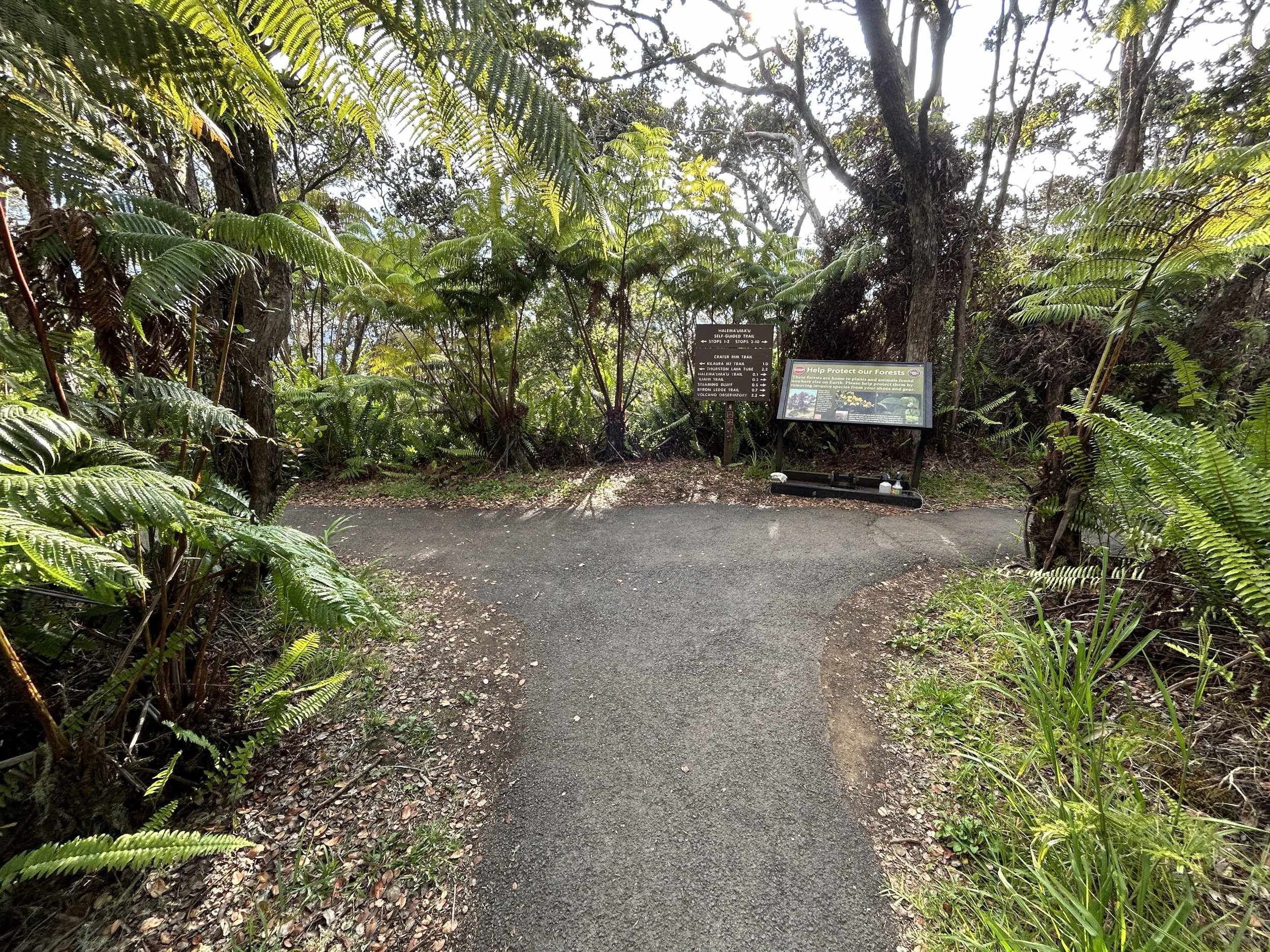 ⚓ 옛 사카이 등대(큐 사카이 토다이) 이미지 4